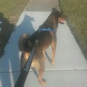 Meet your Posher, Siobhan